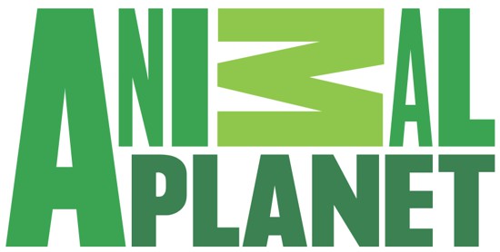 logotipo canal de tv animal planet cor verde
